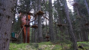 ropes-course-886637_960_720